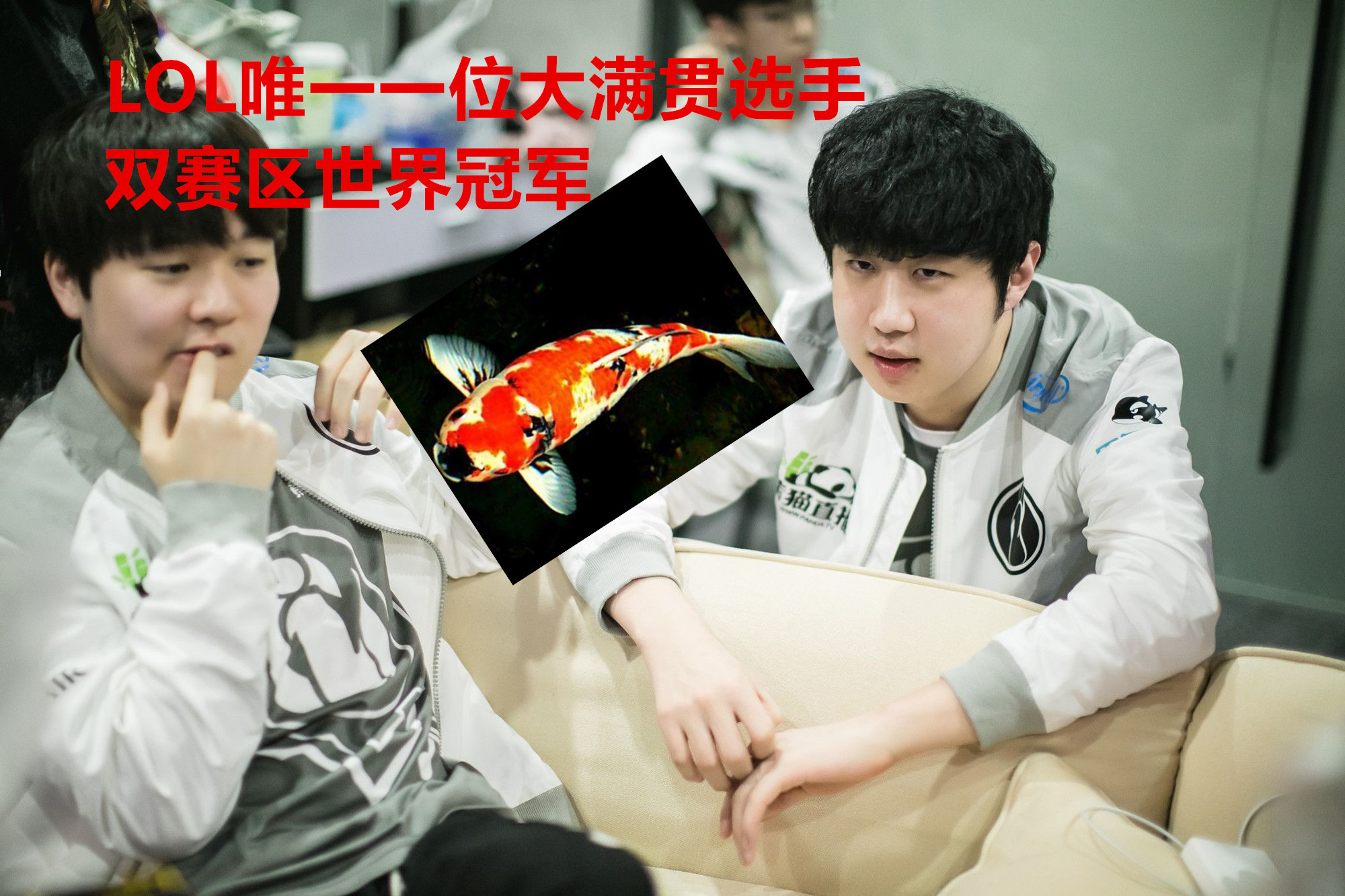 利物浦引发争议!,TheShy官方宣布险胜新规赢得满堂喝彩 利物浦引发争议!,TheShy官方宣布险胜新规赢得满堂喝彩